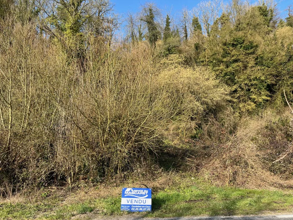 Terrain de loisir à vendre à Norville - Boisé - Vue Seine