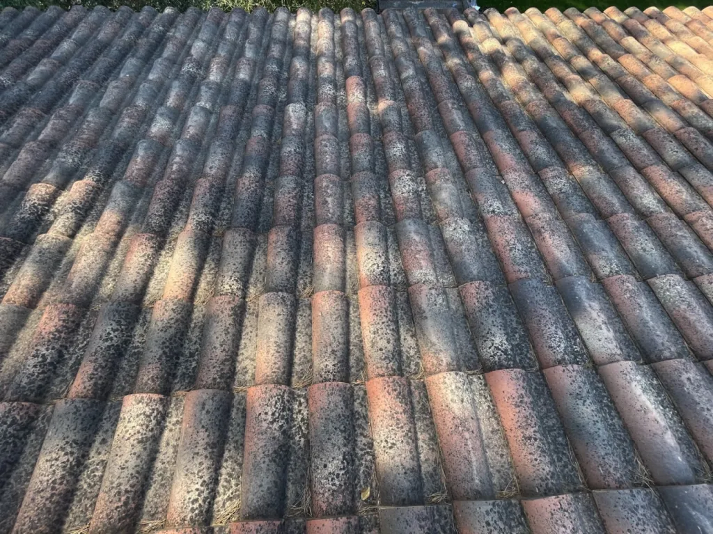 Nettoyage de Toiture à Saint-Chamas 13250