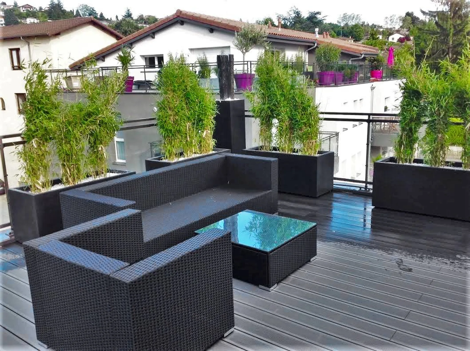 Plantes en terrasse