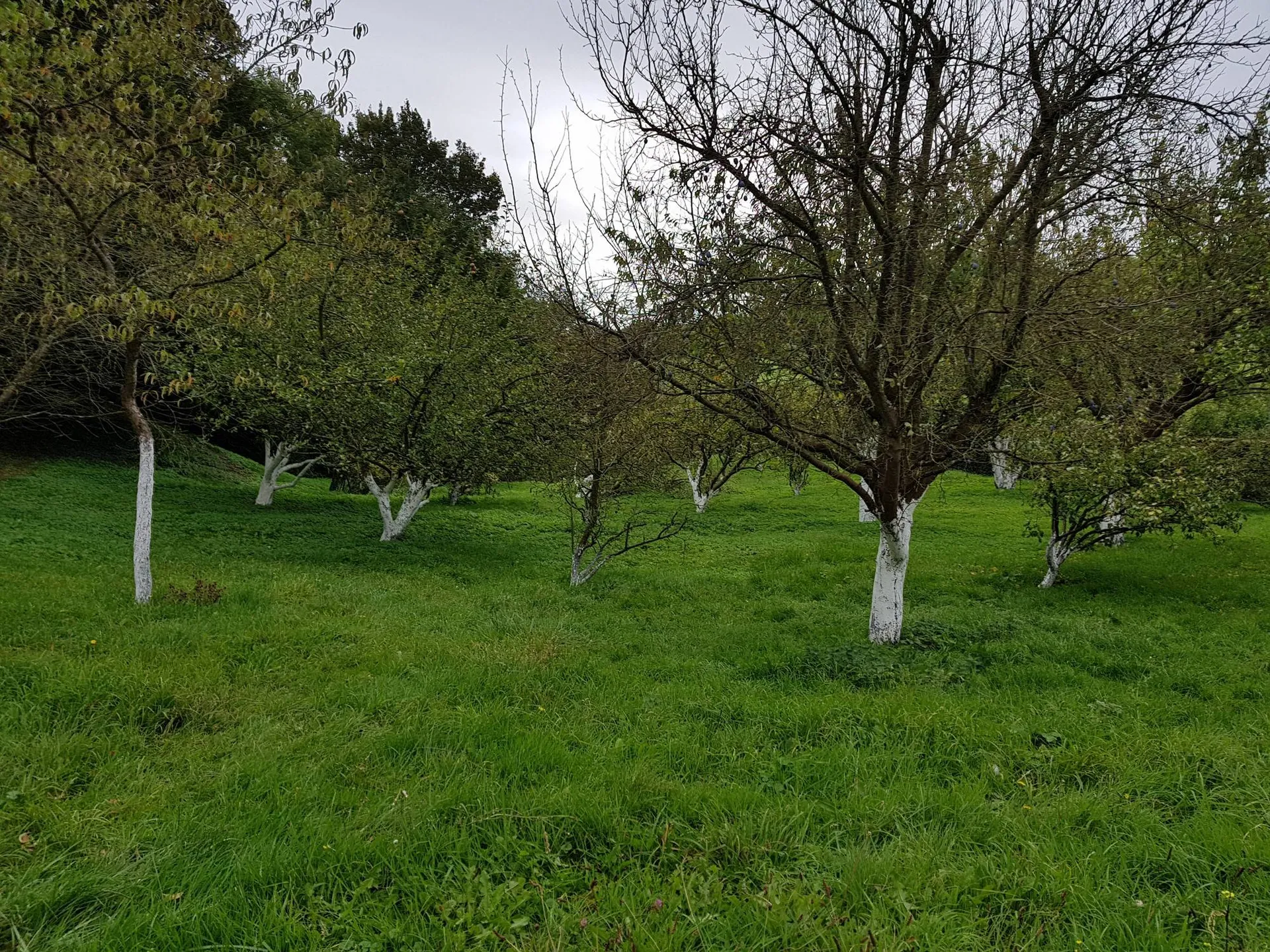 L'agence Terres et Demeures de Normandie située à Lisieux, Calvados 14