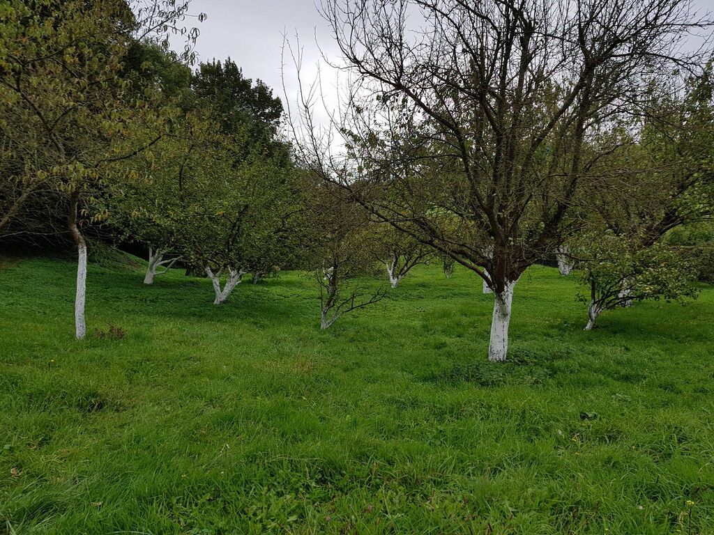 L'agence Terres et Demeures de Normandie située à Lisieux, Calvados 14