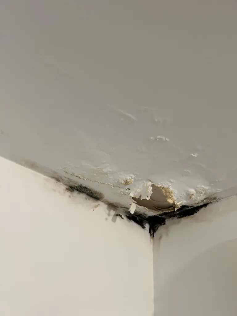 Identification de la cause de la fuite responsable d'un dégât des eaux à Talence dans le 33