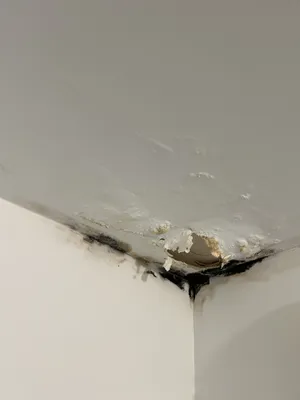 Identification de la cause de la fuite responsable d'un dégât des eaux à Talence dans le 33