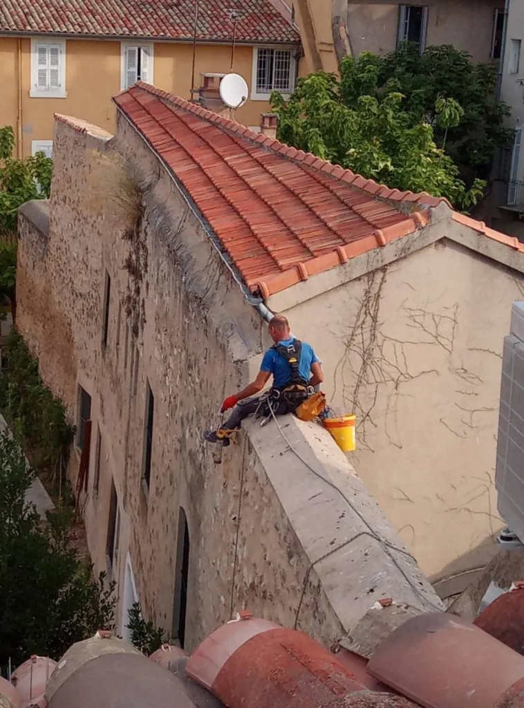 tuer les pigeons à miramas 13