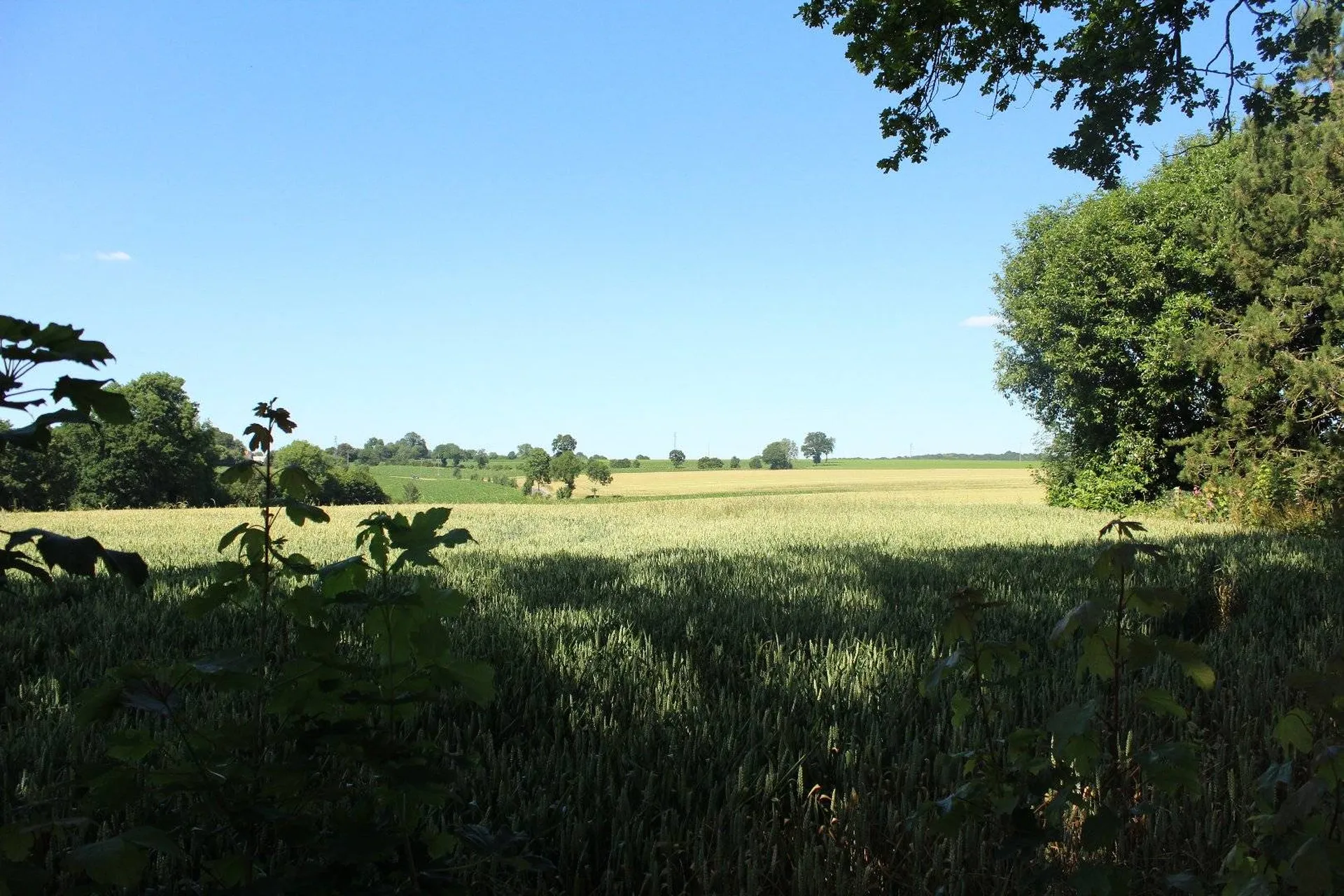 Terres et Demeures de Normandie vous invite à venir visiter cette propriété à pan de bois Calvados 14