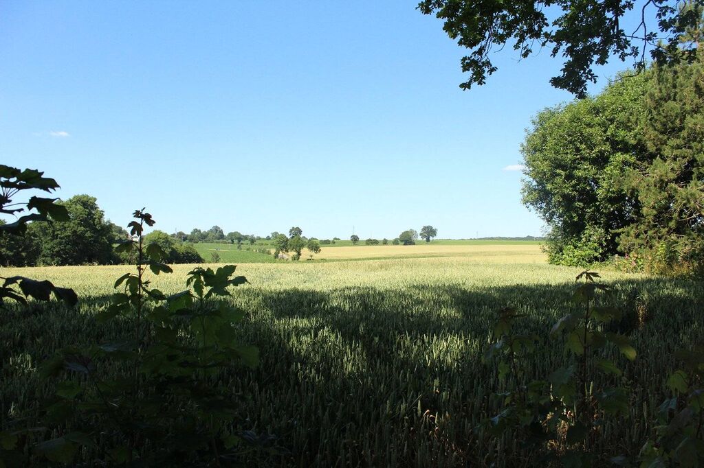 Terres et Demeures de Normandie vous invite à venir visiter cette propriété à pan de bois Calvados 14