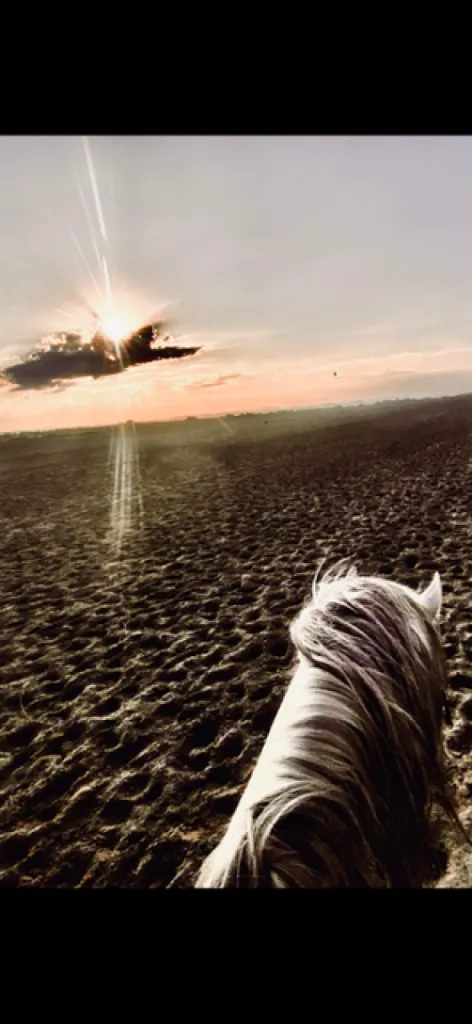 Balade à Cheval pour Sortie sur la Plage au Coucher de Soleil sur le Grau du ROi