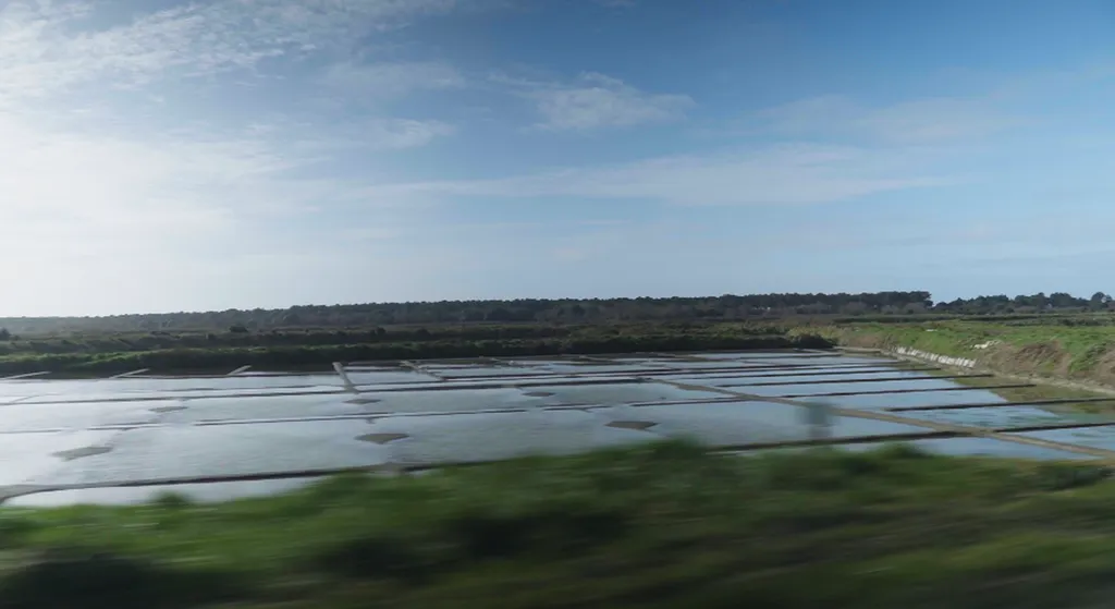 Marais Salants