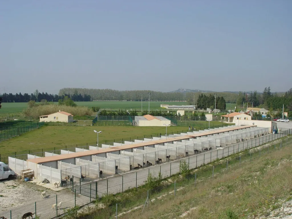 Hôtel pour chien dans le Vaucluse en région PACA