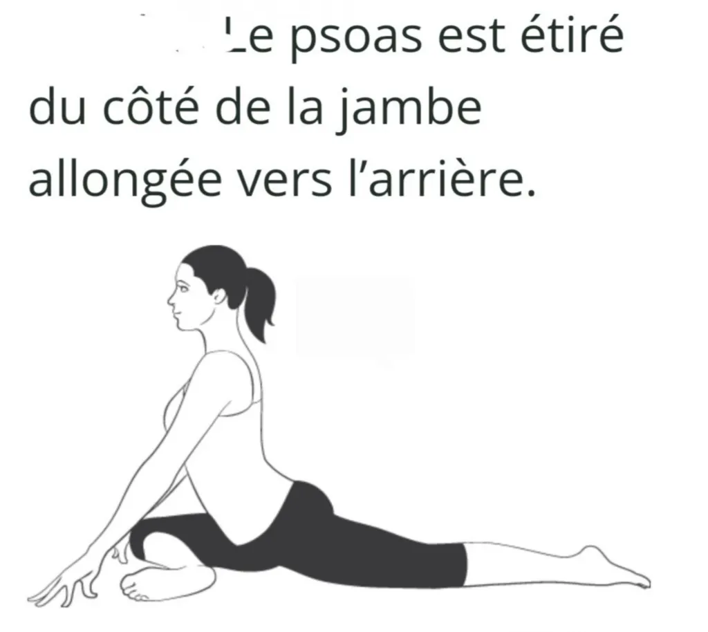 pourquoi étirer le muscle psoas 
