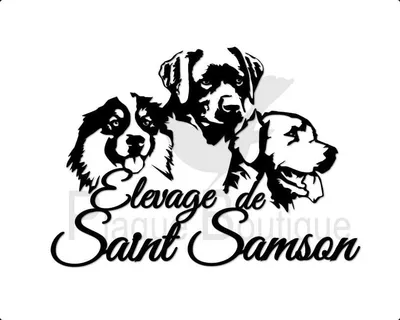 Adopter un Golden Retriever, un Labrador ou un Rottweiler à l'Elevage de La Ferté Saint-Samson