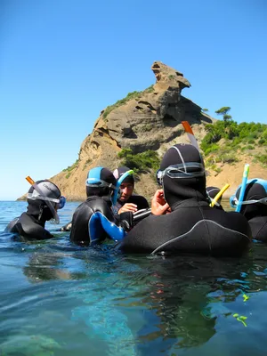 Location de bateau avec skipper avec supplément balade aquatique avec un écoguide