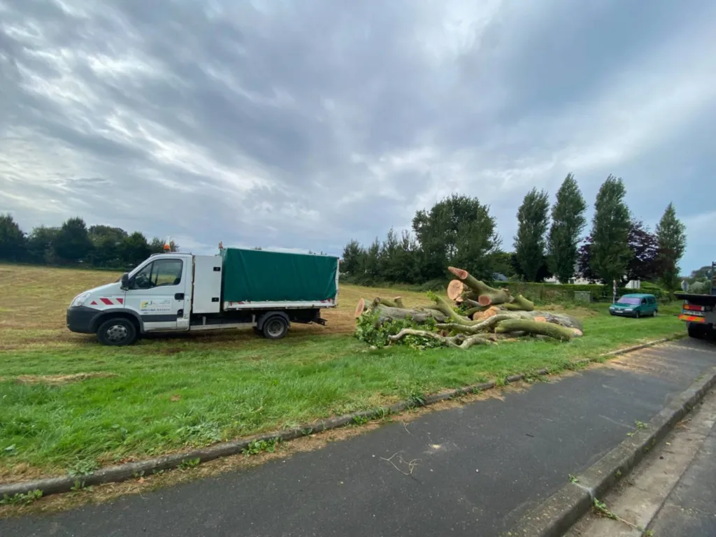 Abattage en démontage d'arbres dangereux à l'aide d'une grue proche de Fécamp 76