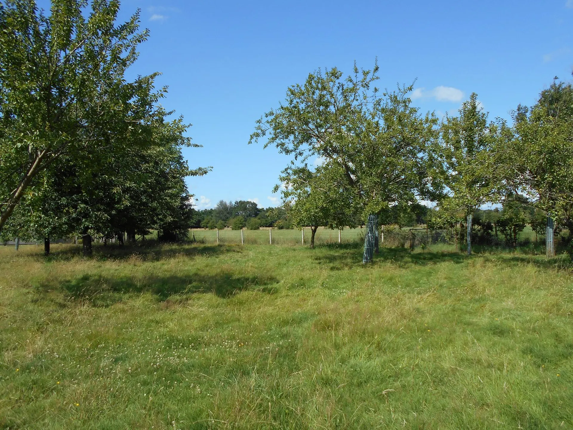 MAISON LISIEUX SOUS-SOL COMPLET