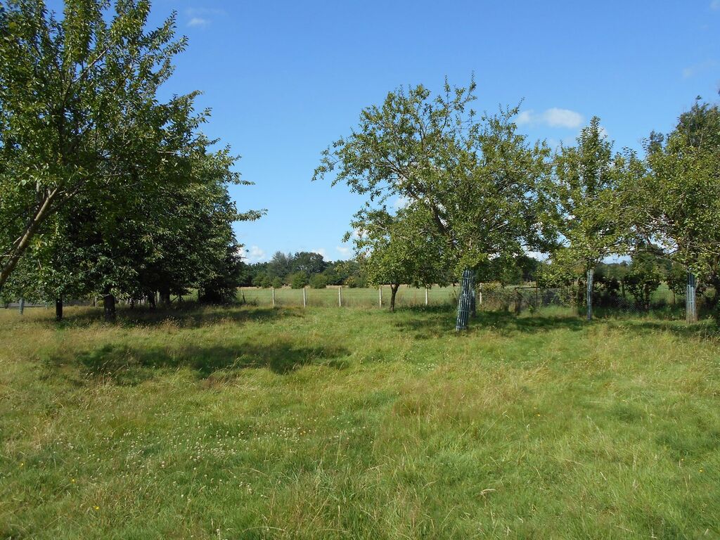 MAISON LISIEUX SOUS-SOL COMPLET