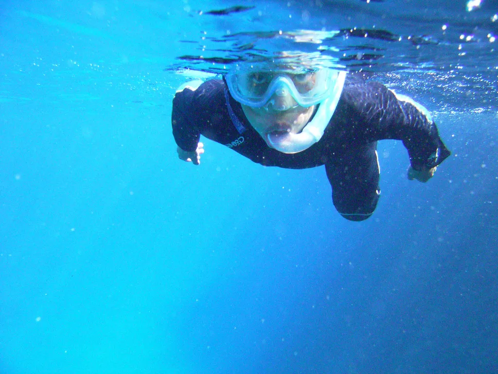 Location de bateau avec skipper avec supplément balade aquatique avec un écoguide