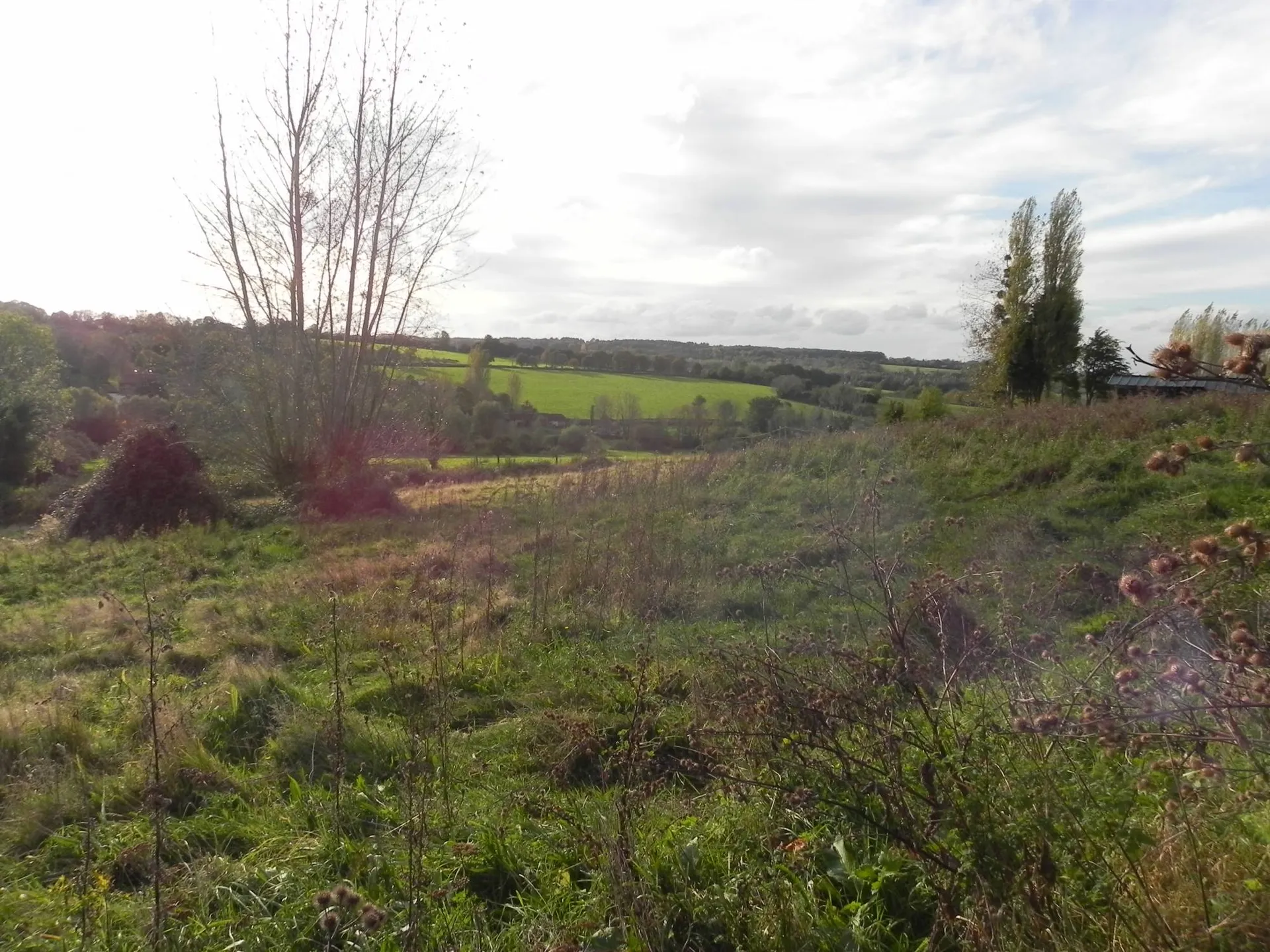 Rare à la vente, Terres Agricoles sur presque 3 hectares dans le Sud du Pays d'Auge 14