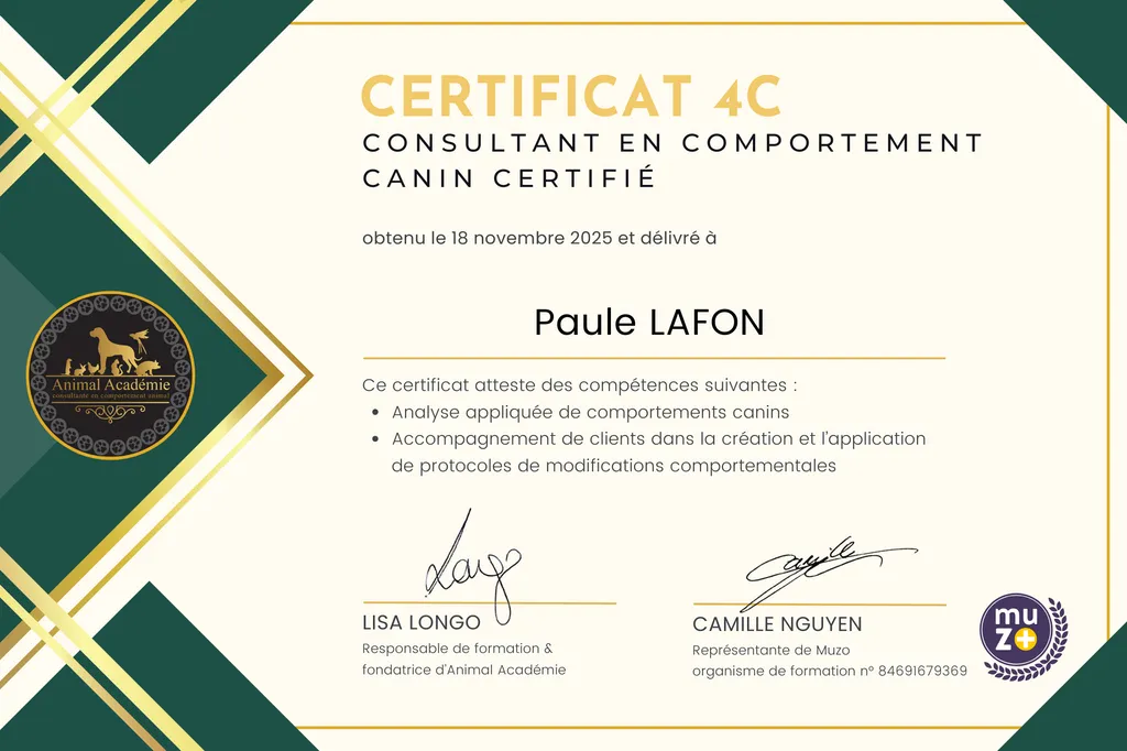Paule lafon consultante en comportement canin certifiée en aquitaine sur la gironde