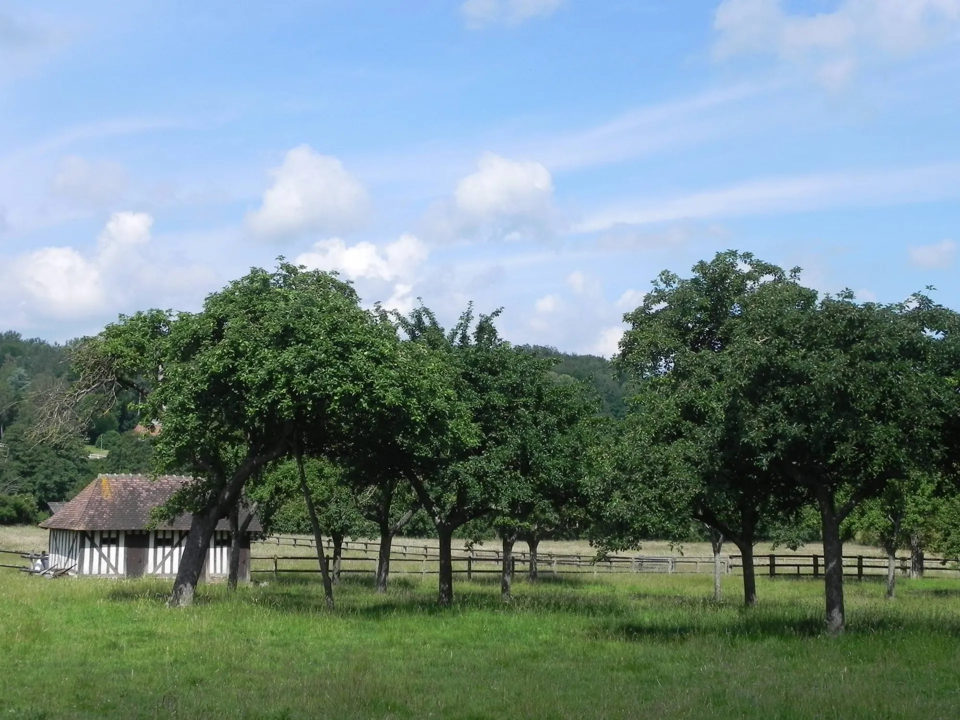 Rare à la vente, authentique Corps de Ferme en colombages sur plus de 3 hectares de terres, au cœur du Pays d'Auge 14