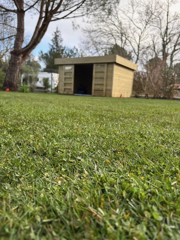 Création de gazon écologique micro-trèfle en rouleaux à Gastes, Biscarrosse et Parentis-en-Born