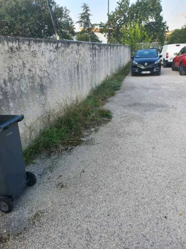 Entretien espace vert,jardin,débroussaillage pour particuliers à Marseille dans les bouches-du-rhône 