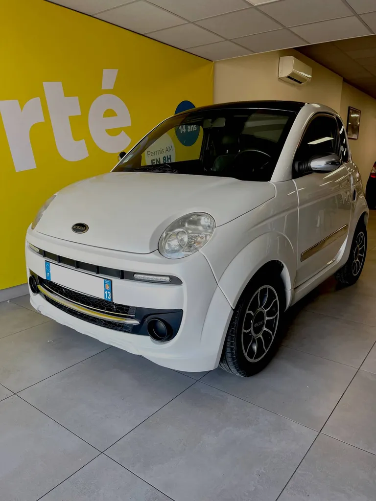 Voiture sans permis Arles