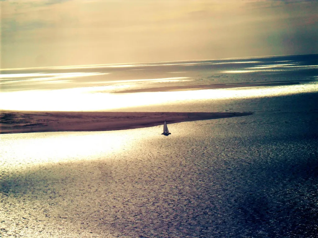 Or Ligne vous conseille CATABAS pour votre location de bateau ou excursion sur le bassin d'Arcachon