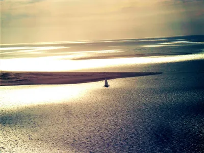 Or Ligne vous conseille CATABAS pour votre location de bateau ou excursion sur le bassin d'Arcachon