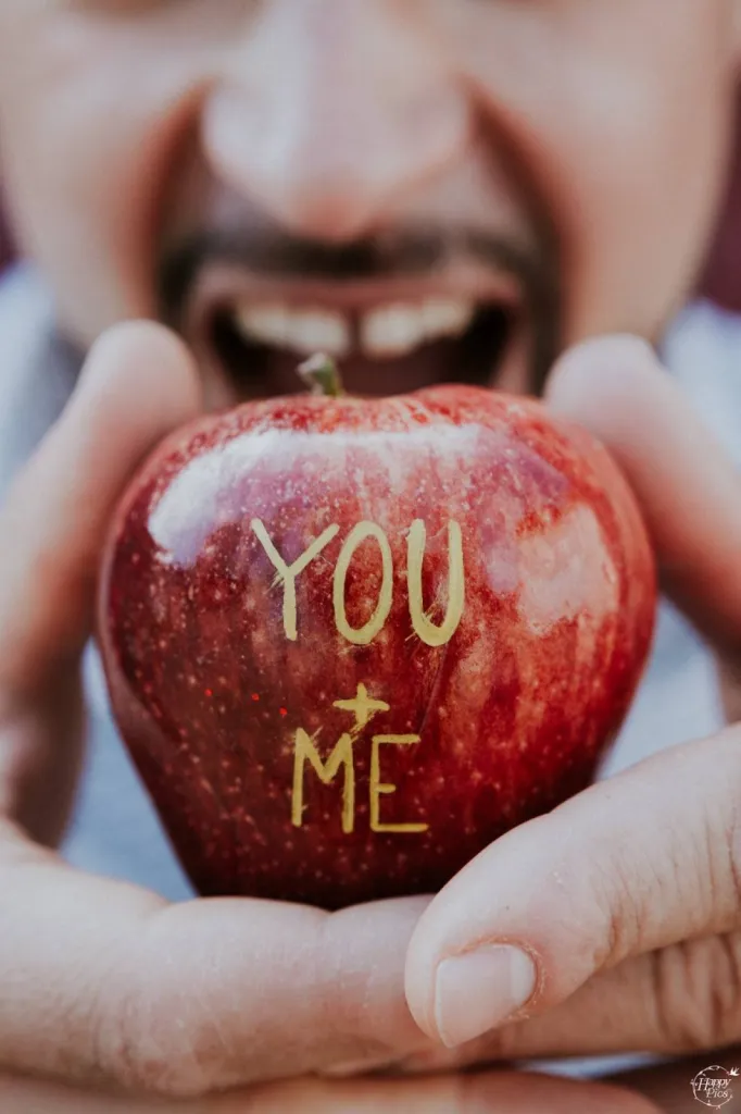 Organisation et décoration de mariage sur mesure thème vintage et pomme d'amour