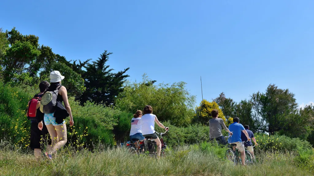 Balade Nature et insolite autour du Rocher de l'Arbois près du thecamp Hôtel à Aix-en-Provence