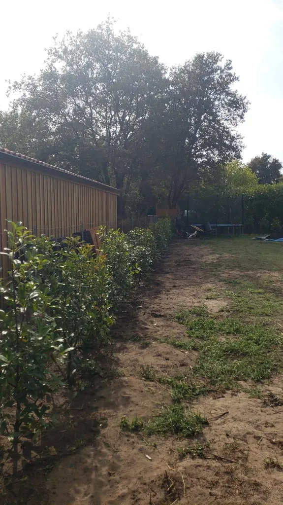 Transformation par une entreprise spécialisée d'un jardin à l’aide d’une haie de Photinias esthétique et fonctionnel aux alentours de Mézos