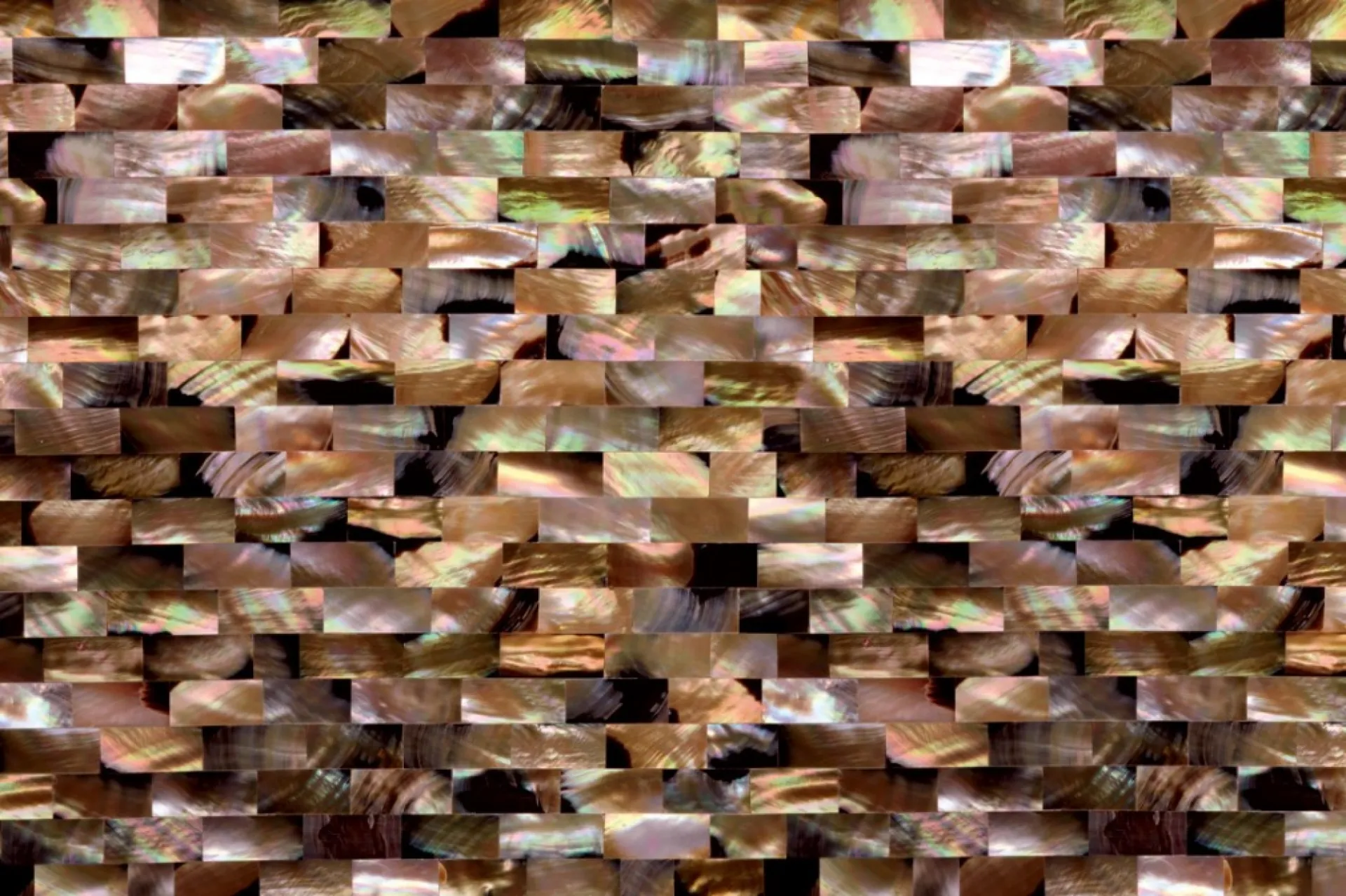 Bronze Mother of Pearl