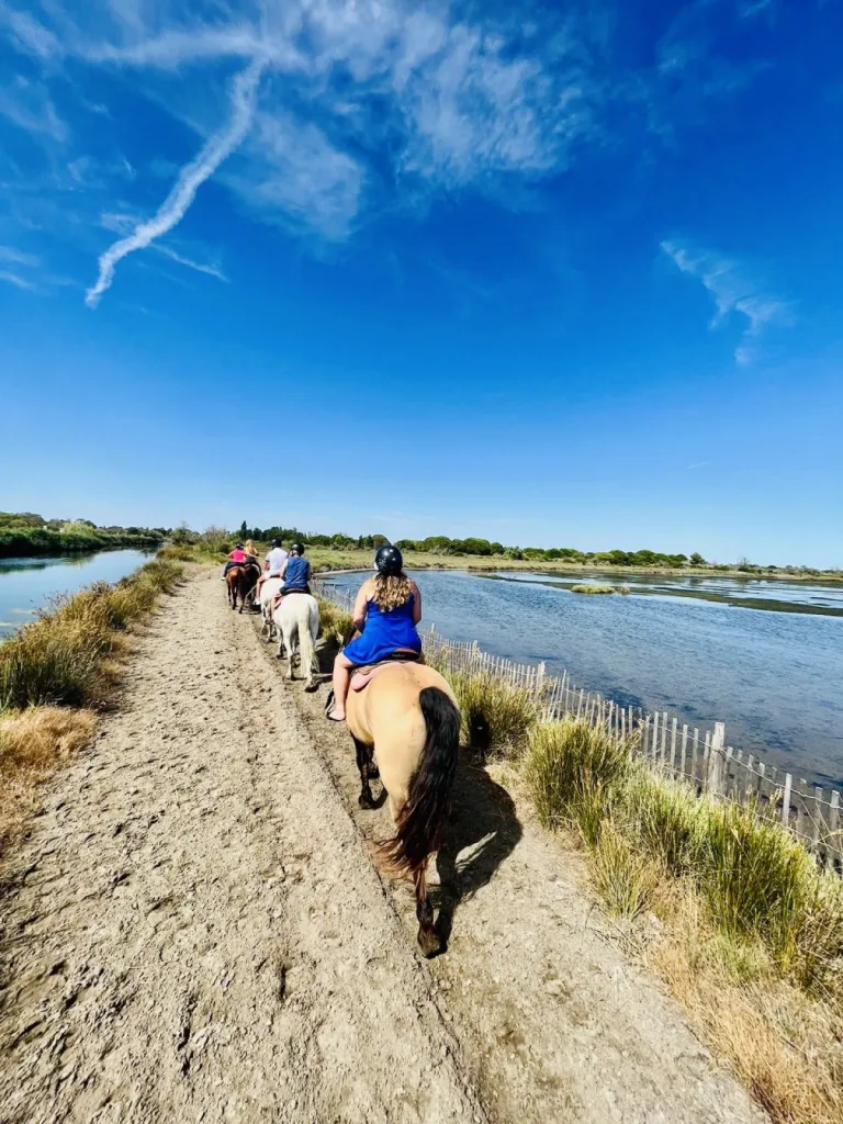 Balade à  cheval découverte de 1 heure dans les marécages de Camargue