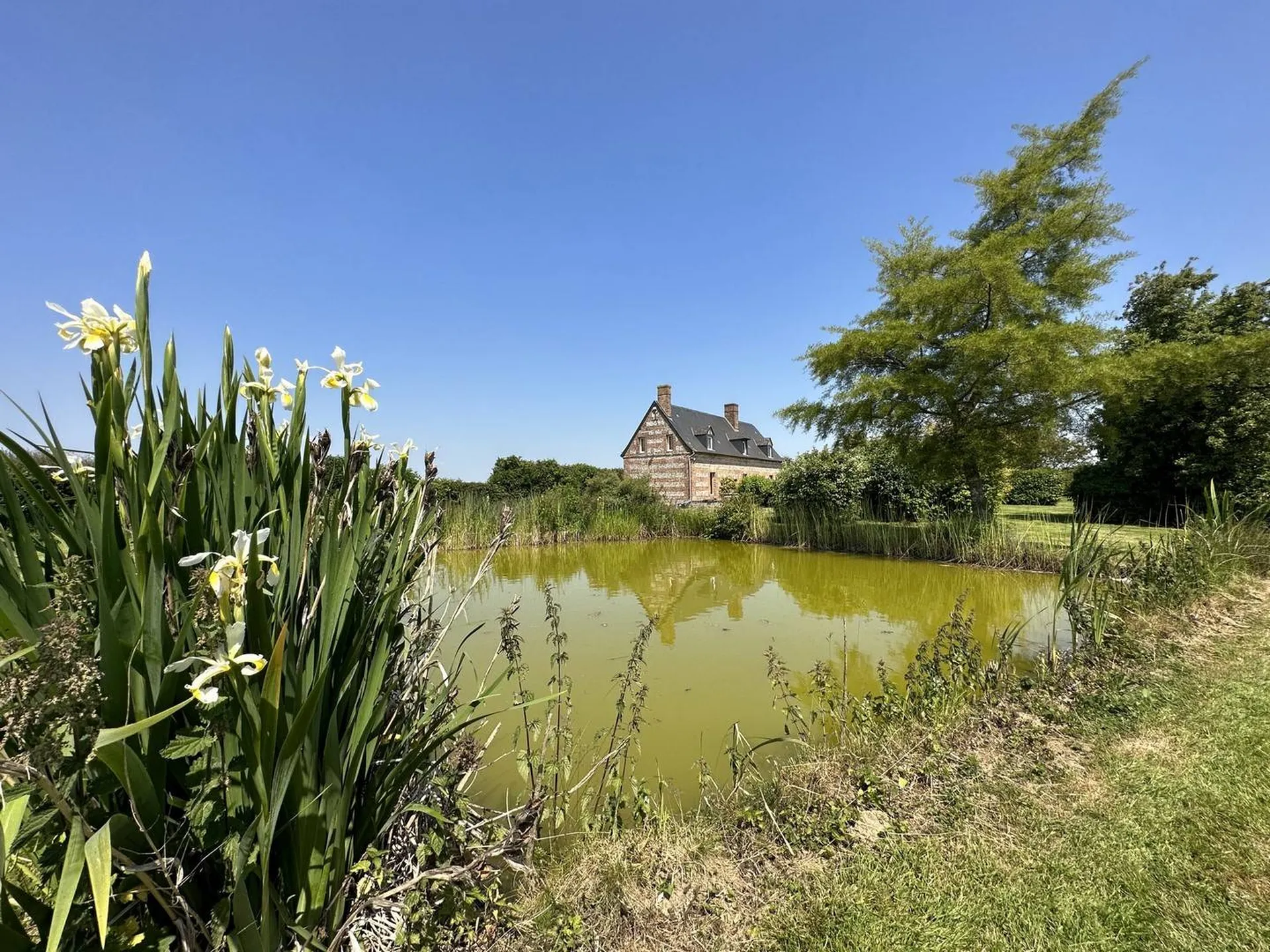 A vendre une parcelle de 1100m² de terrain à batir constructible attenante à la maison.