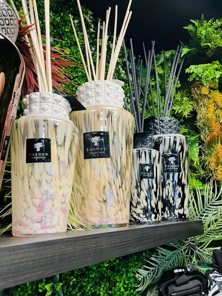 Retrouvez vos bougies Baobab préférées chez Franck Hernandez
