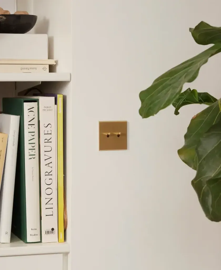 Détail d'appareillage