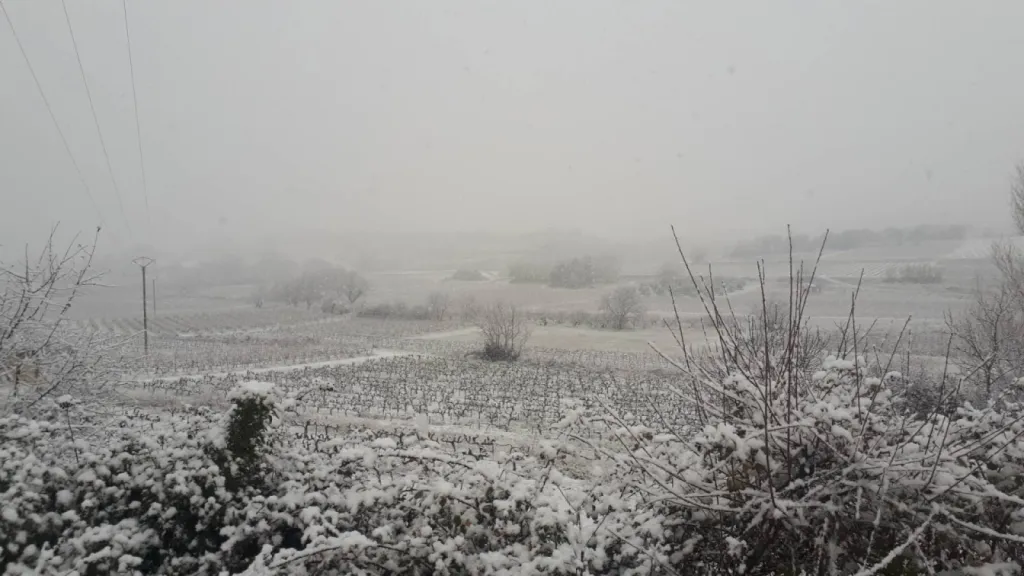 Fauconnaise de pose vue enneigée