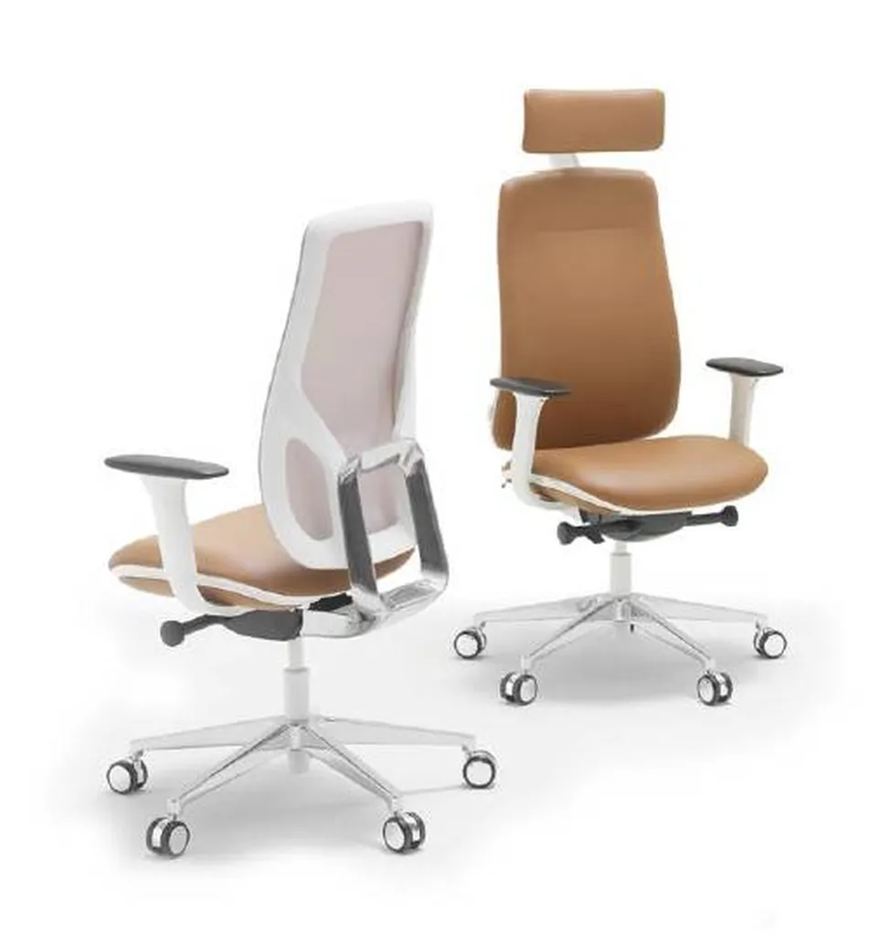 Fauteuil Ergonomique Manager Eman Direction à Bagnols Sur Cèze
