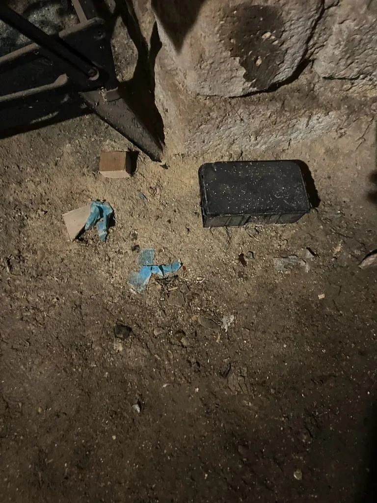 Infestation de rat dans la cave d’une copropriété situé au cœur du centre ville d’Aix-en-Provence dans les Bouches-du-Rhône (13)