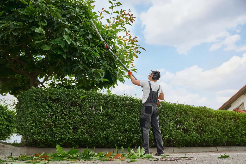 entretien de jardin par un professionnel dans le médoc 
