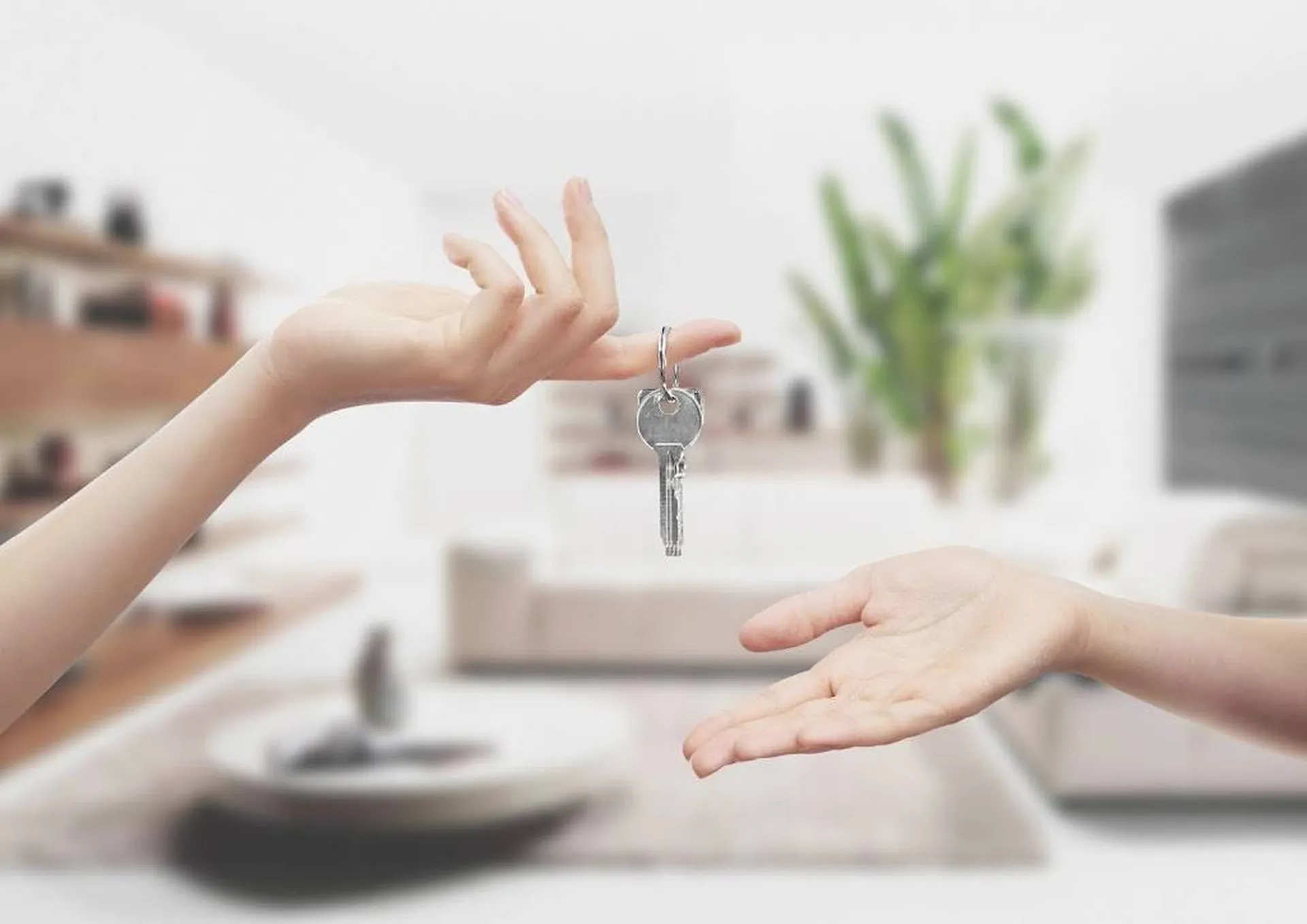 Service de conciergerie – gestion locative pour particuliers dans le var
