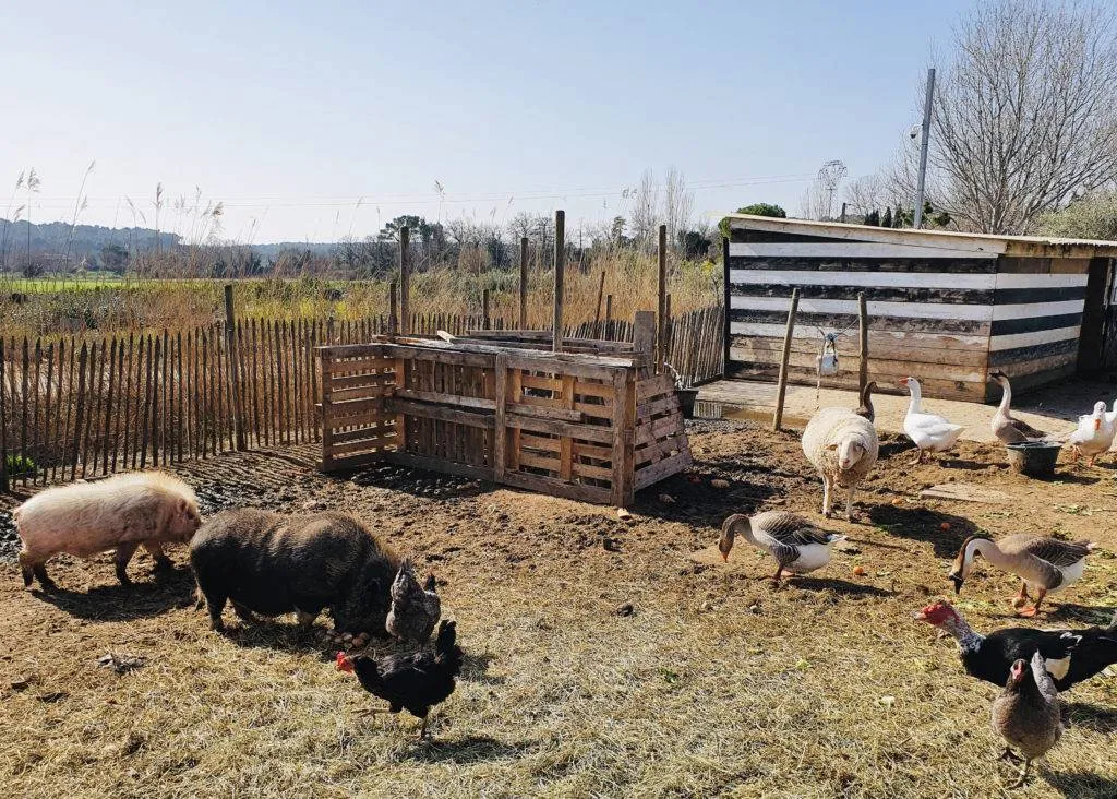 Ferme Pédagogique proche d'Aix en Provence et Marseille