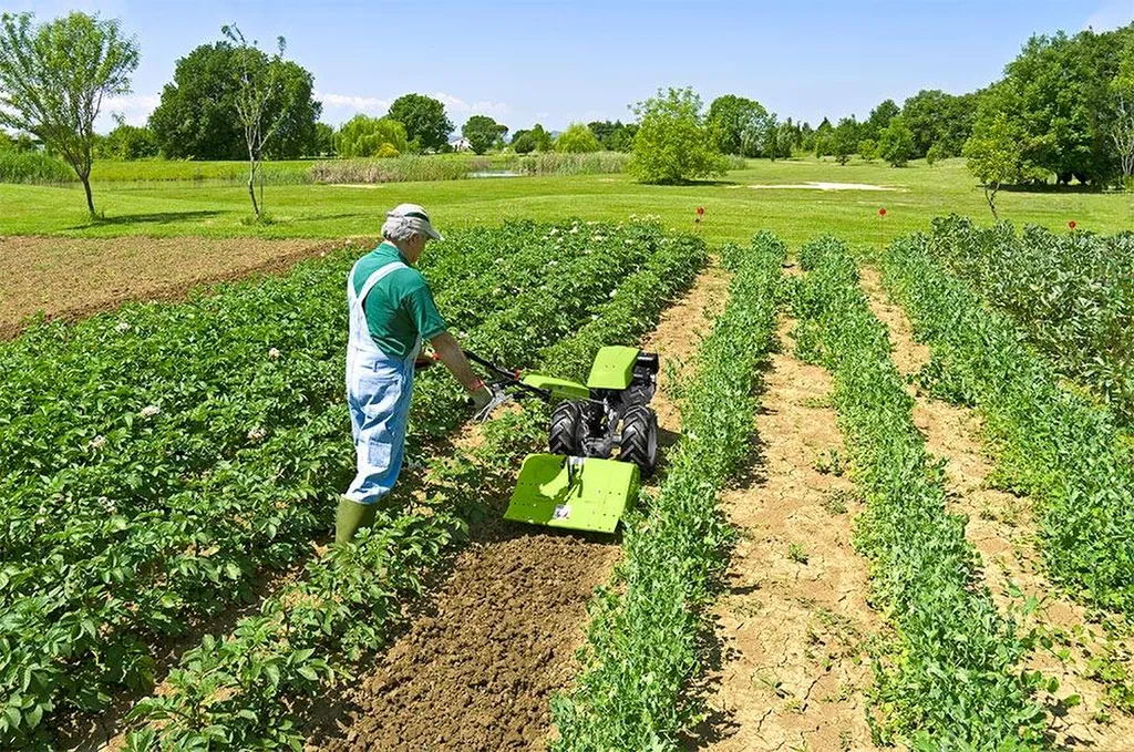 ACHETER G 55 MOTOCULTEUR GRILLO