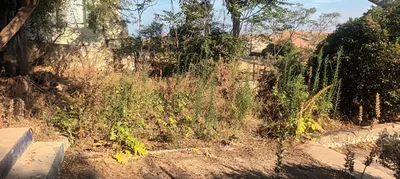 Mise en securite d un jardin dans.un centre pourenfants.