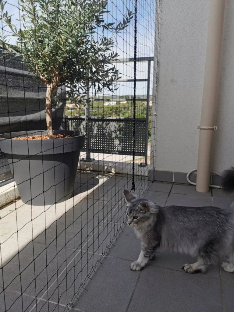 filet anti chute chat aubagne 13400