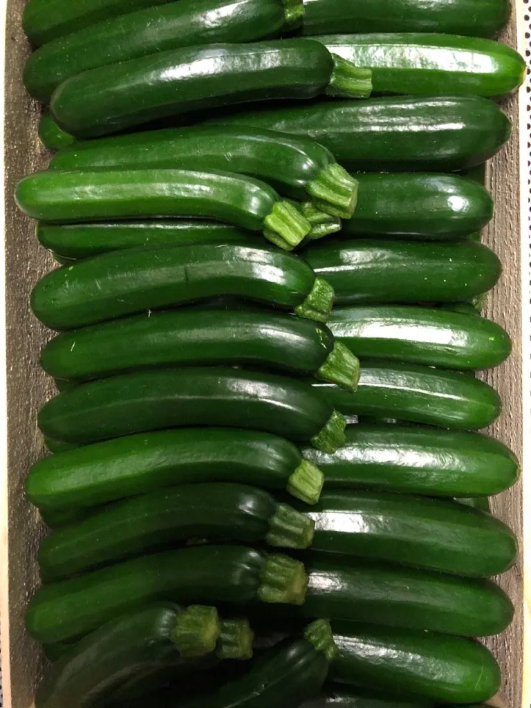 Venez acheter vos courgettes de Provence à Ma Ferme proche d'Aix-en-Provence