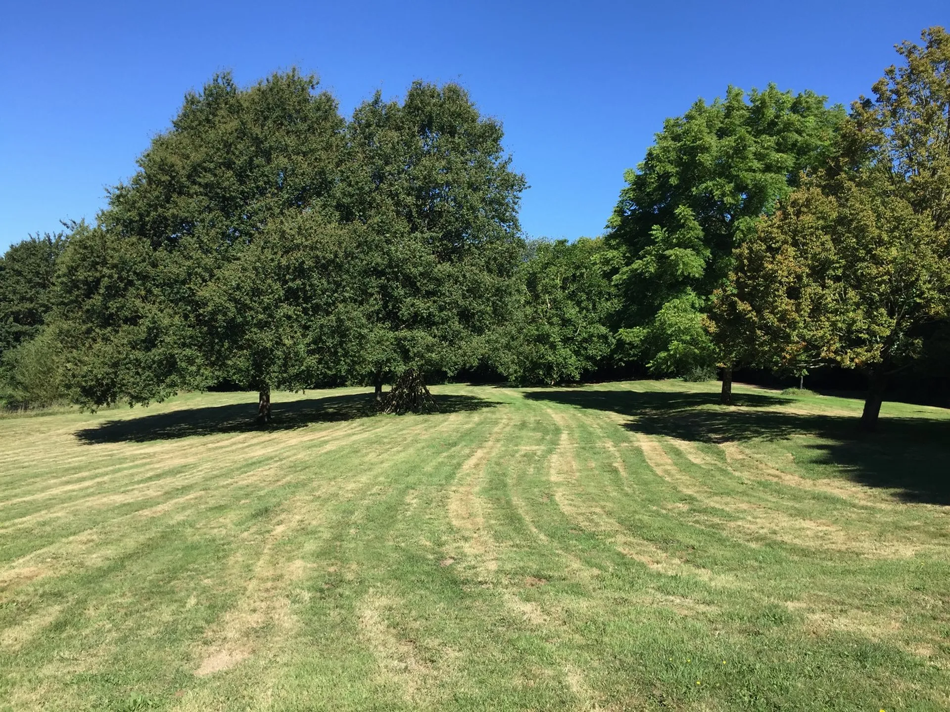 MAISON NORMANDE AVEC ETANG PROCHE DE PONT-L'EVEQUE