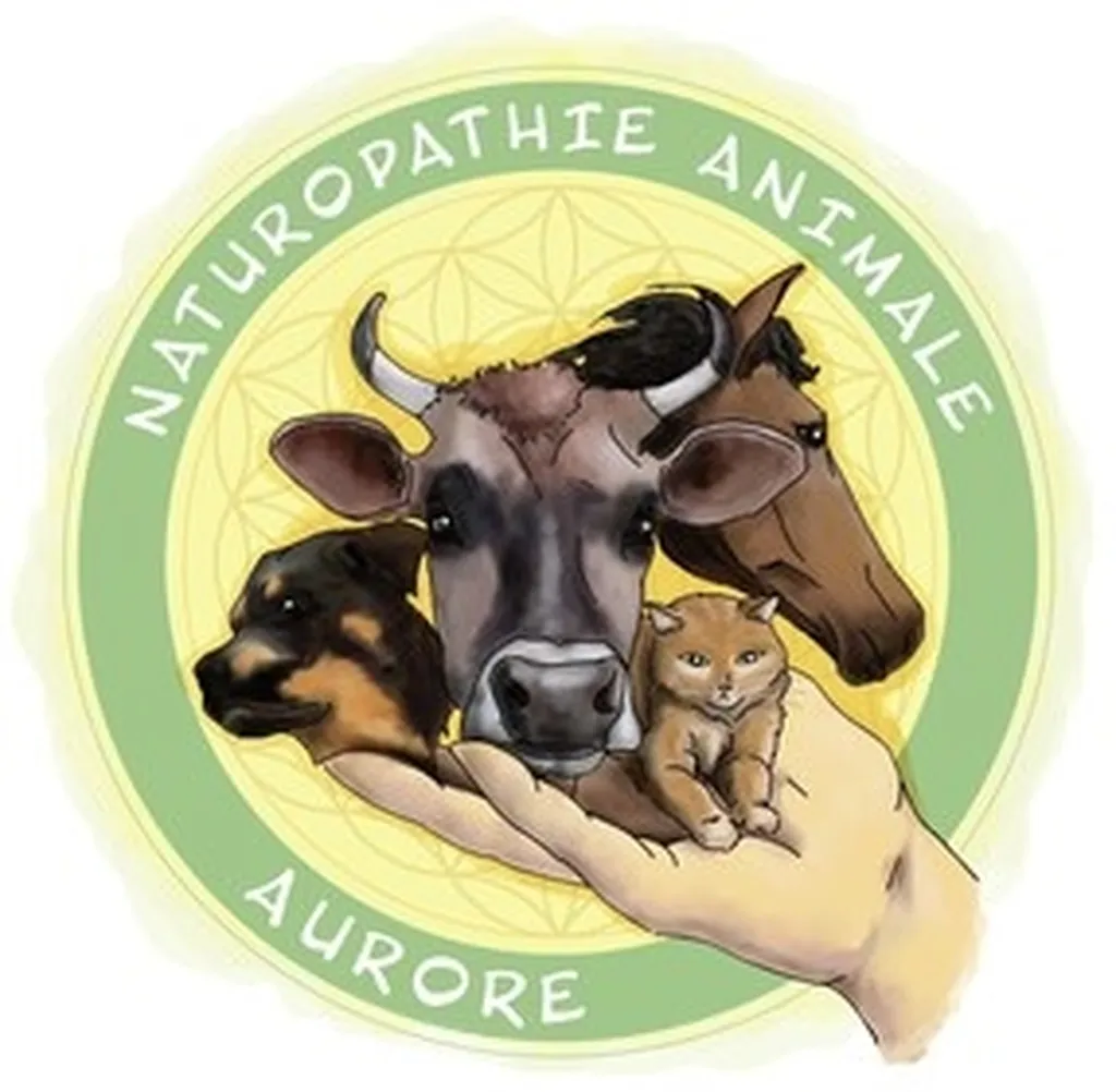 Consulter une naturopathe animale à Molles