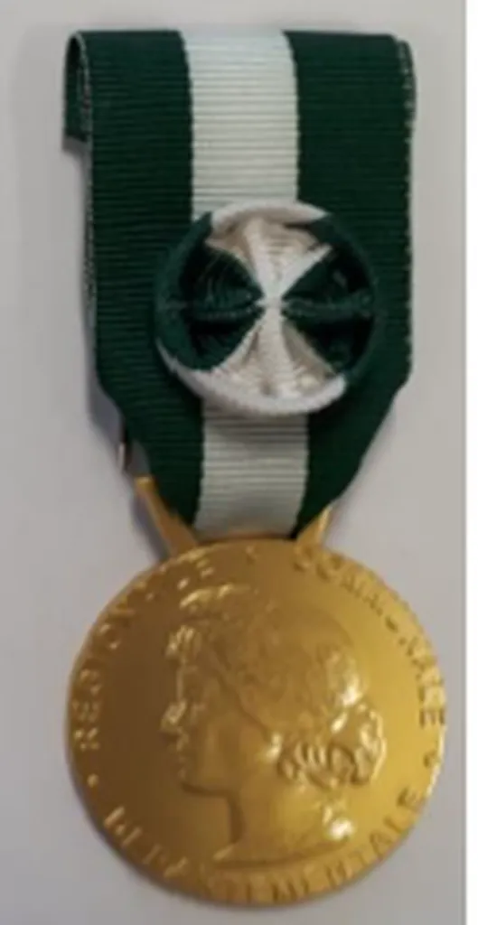 MEDAILLE D'HONNEUR REGIONALE DEPARTEMENTALE ET COMMUNALE
