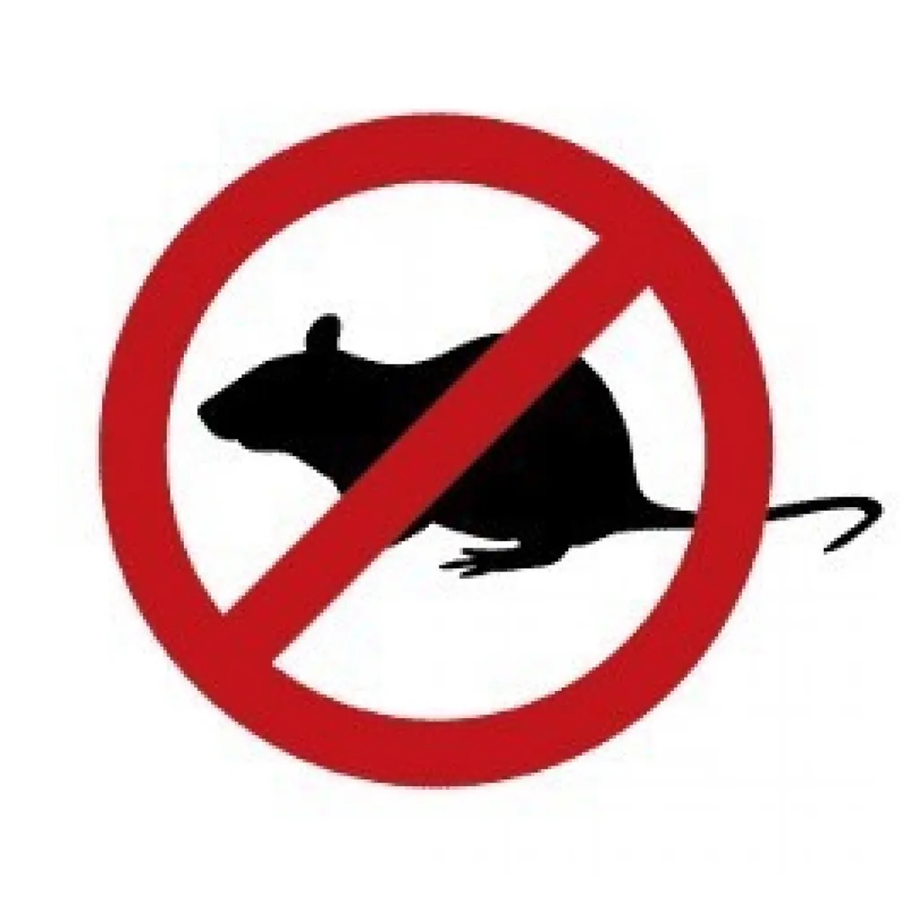 Traitement dératisation Marseille 6ème pour un syndic de copropriété 